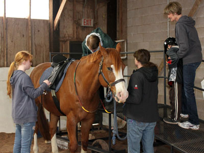 Tuff - Willow Farms Therapeutic Riding Program in Marquette MI