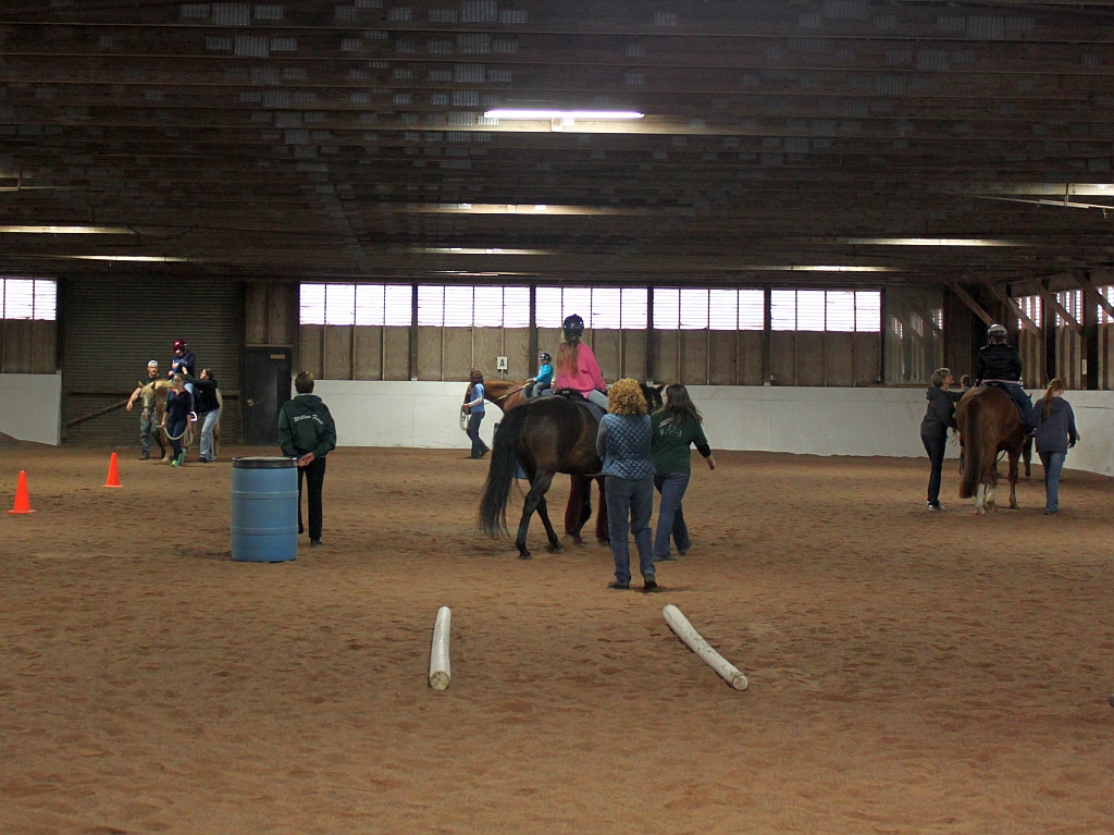 Riding Instructors in Arena